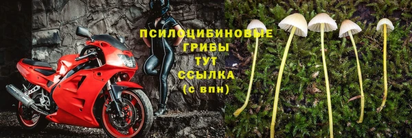 таблы Армянск