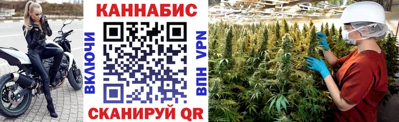 как найти закладки  Ростов-на-Дону  Конопля тримм 